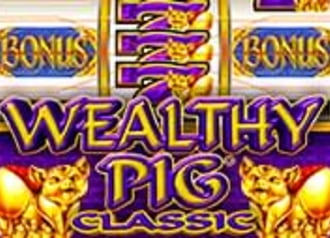 Wealthy Pig Classic 9662