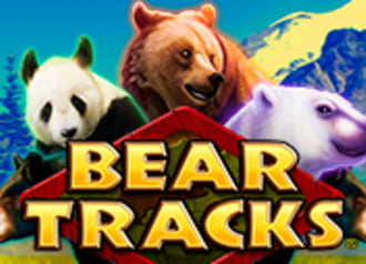 Bear Tracks 9621
