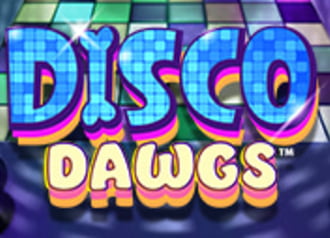 Disco Dawgs 96