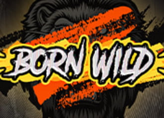 Born Wild 96