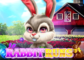 Rabbit Runs