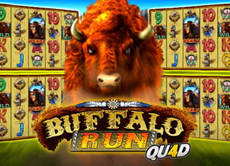 Buffalo Run Quad
