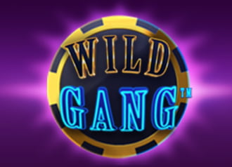 Wild Gang