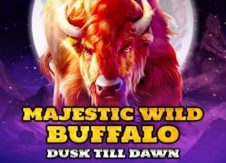 Majestic Wild Buffalo – Dusk Till Dawn