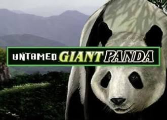Untamed Giant Panda