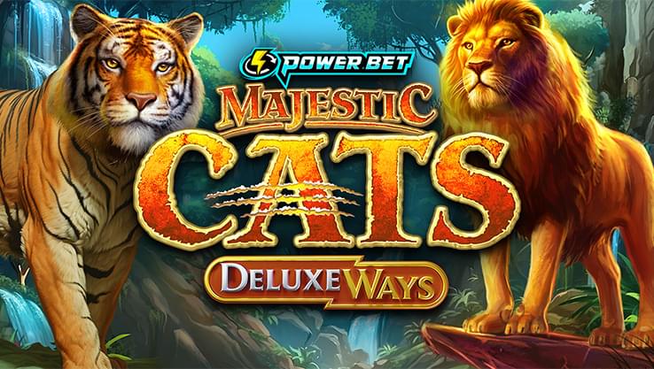 Majestic Cats DeluxeWays