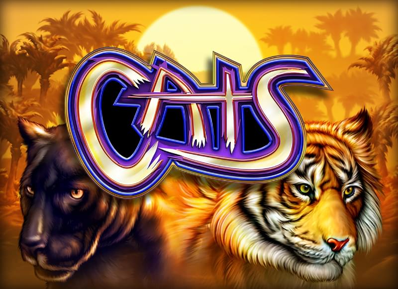Cats (1137)
