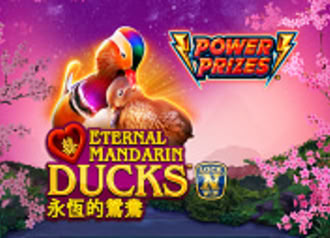 Power Prizes - Eternal Mandarin Ducks
