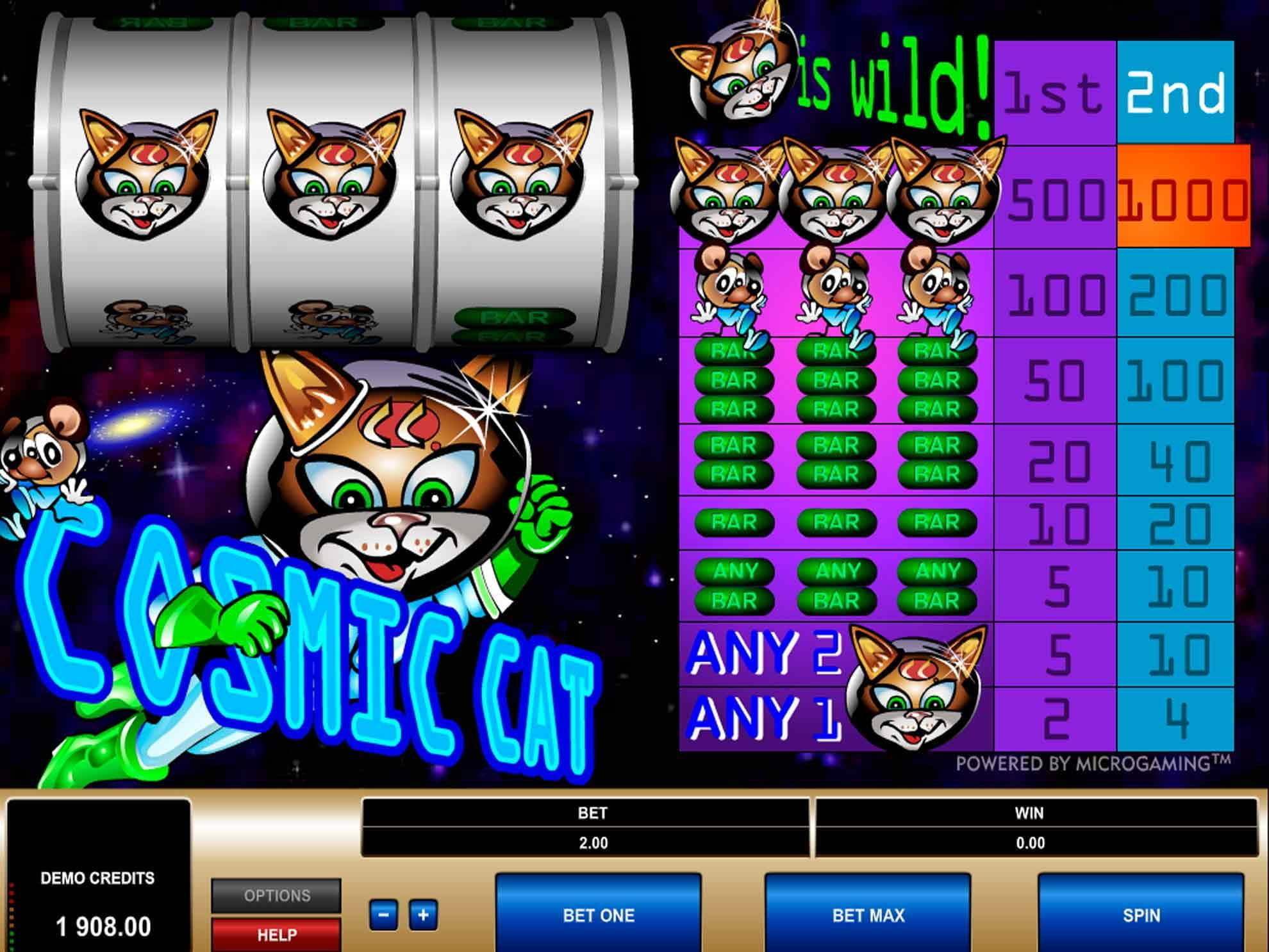 Cosmic Cat