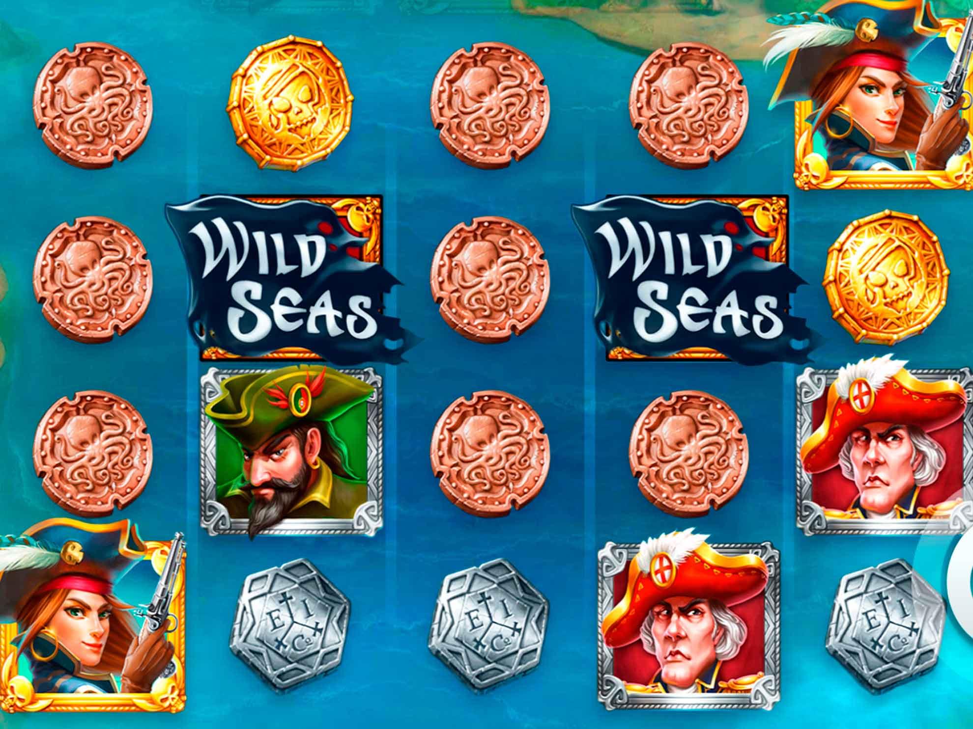 Wild Seas