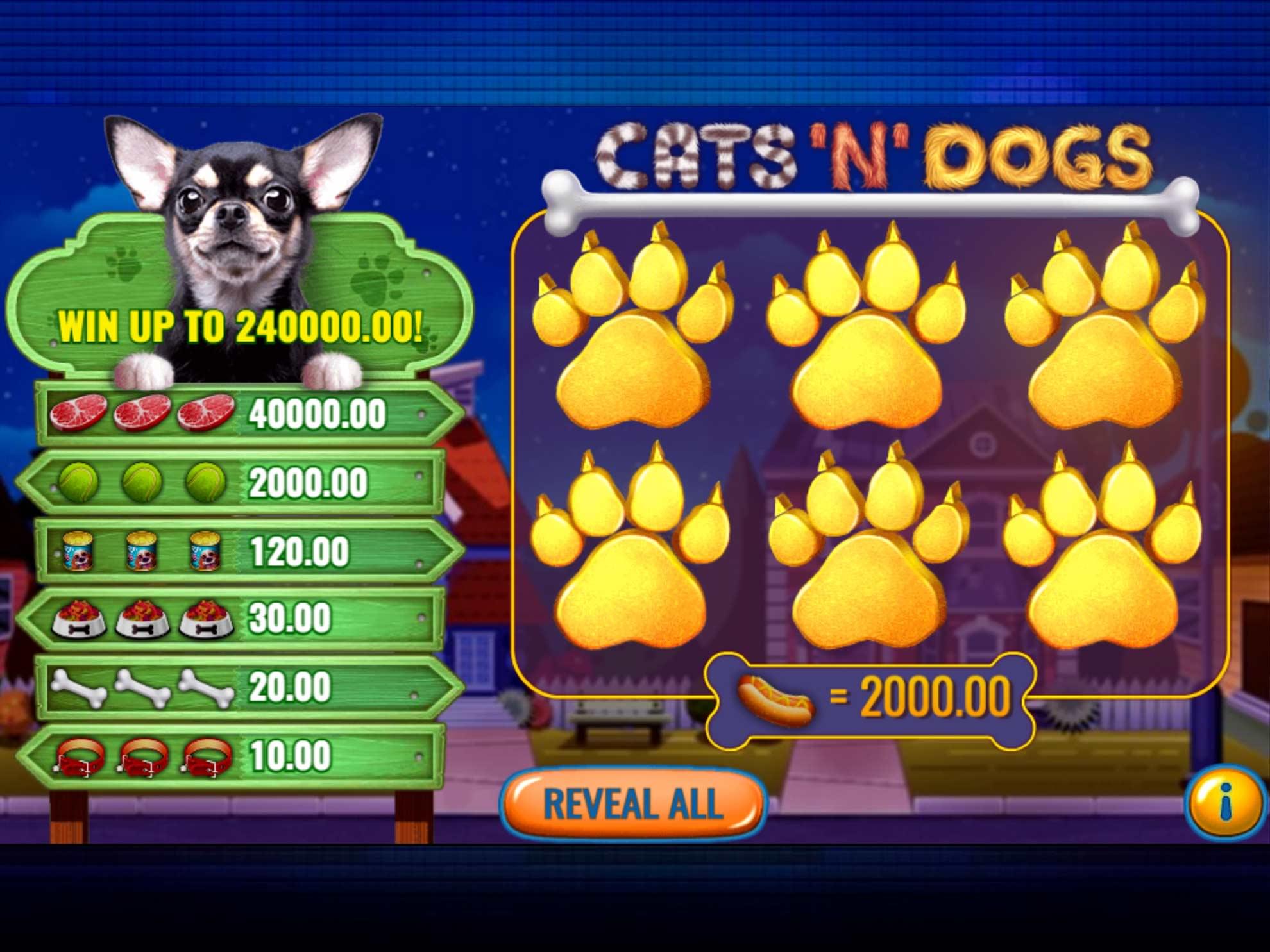 Cats 'N' Dogs
