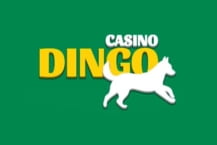 Dingo-casino.com